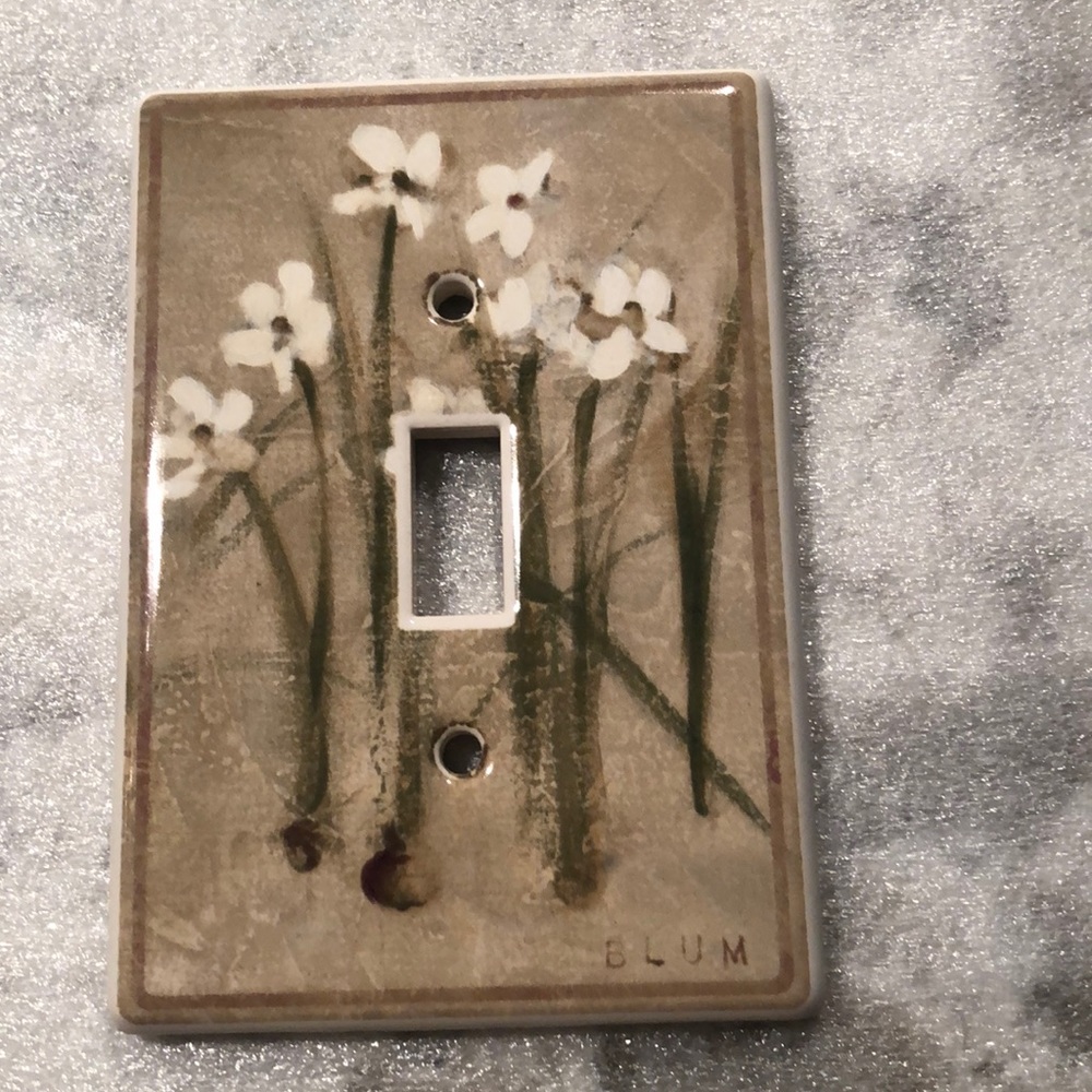 Ceramic Switchplate Cover